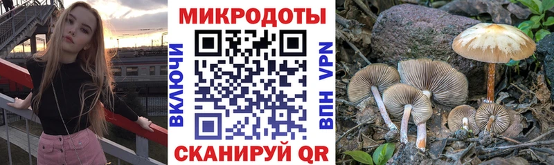 OMG вход  Инта  Псилоцибиновые грибы Magic Shrooms 