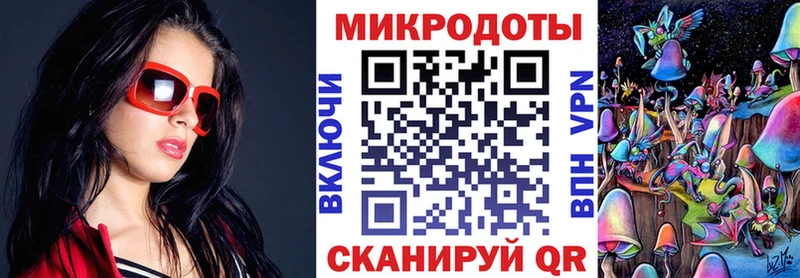 Псилоцибиновые грибы Psilocybe Инта